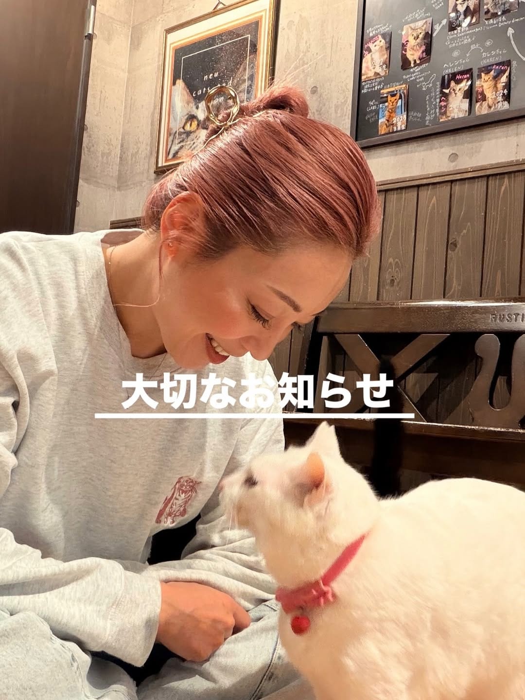 Post 10 by 保護猫カフェneu。 （里親募集中） on Instagram (image)