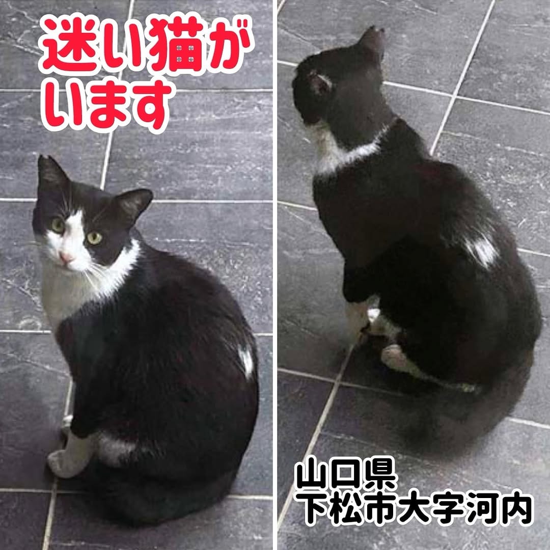 Post 8 by ⚘ NPO法人 ケダマの会 ⚘ on Instagram (image)