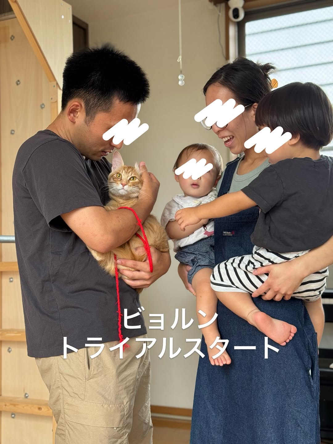 Post 5 by Delacroix Dog Ranch（ドラクロアドッグランチ）|保護した犬猫の新しいお家を探すボランティア団体 on Instagram (carousel)