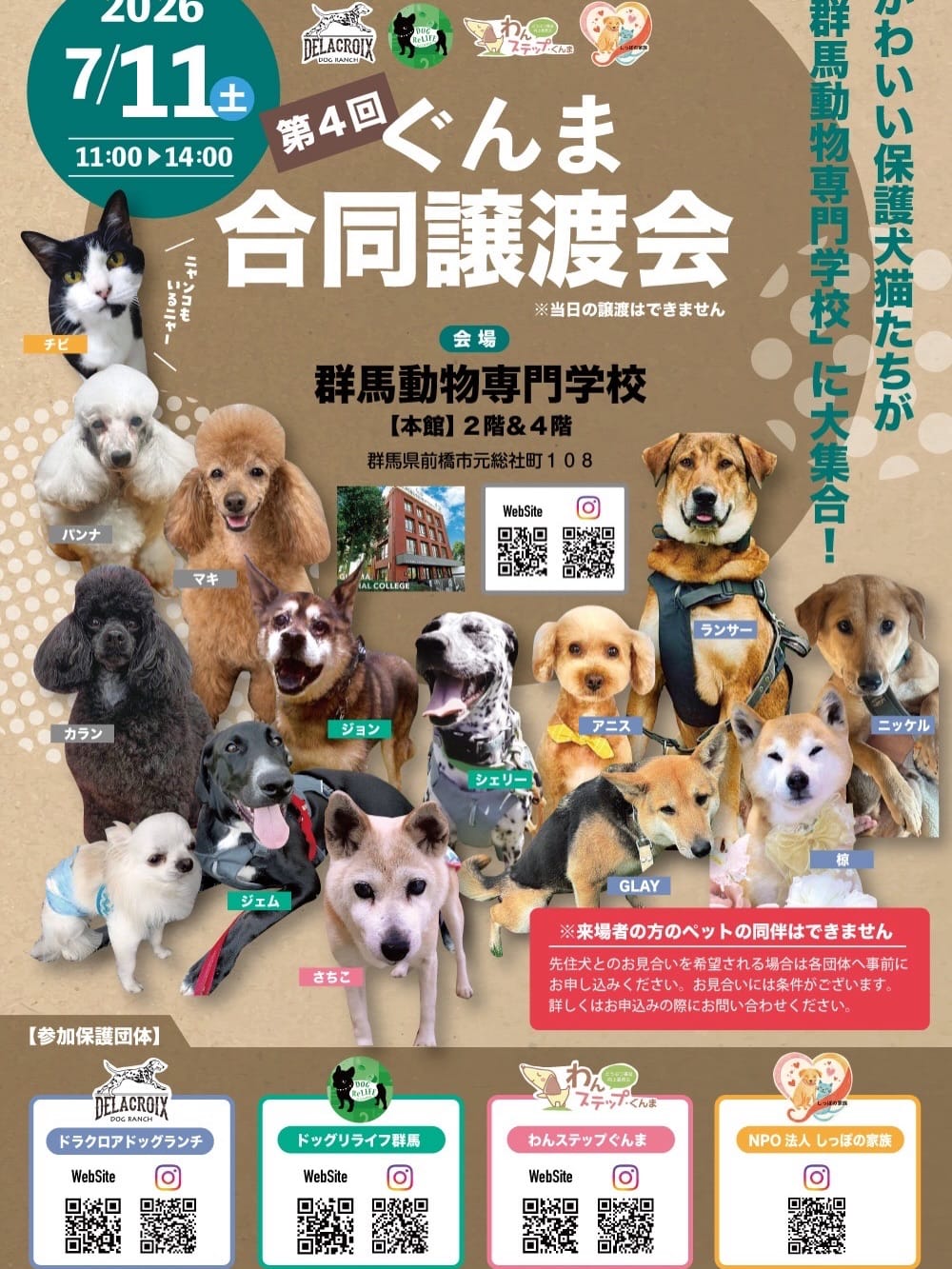 Post 2 by Delacroix Dog Ranch（ドラクロアドッグランチ）|保護した犬猫の新しいお家を探すボランティア団体 on Instagram (carousel)