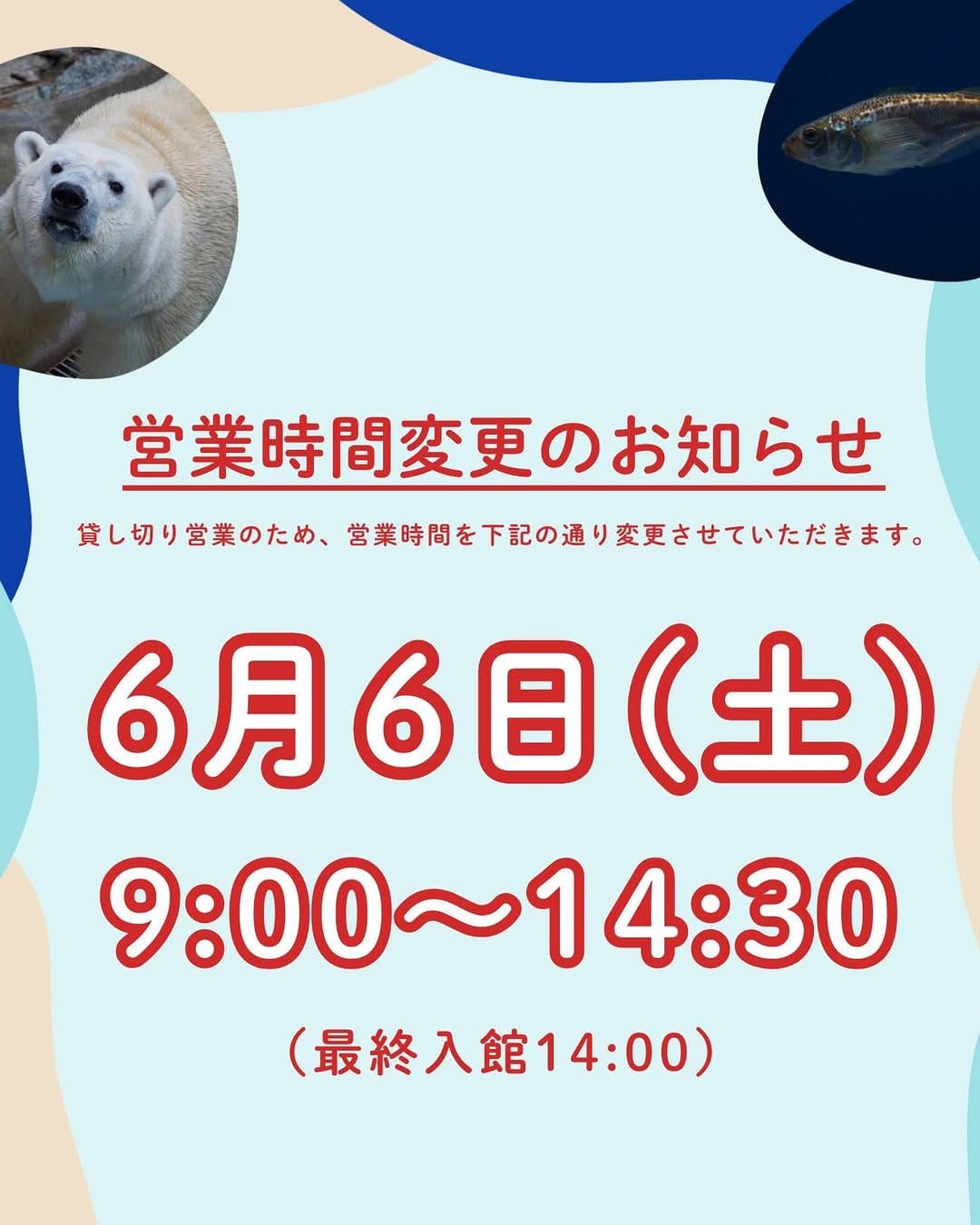 Post 7 by 男鹿水族館GAO on Instagram (image)
