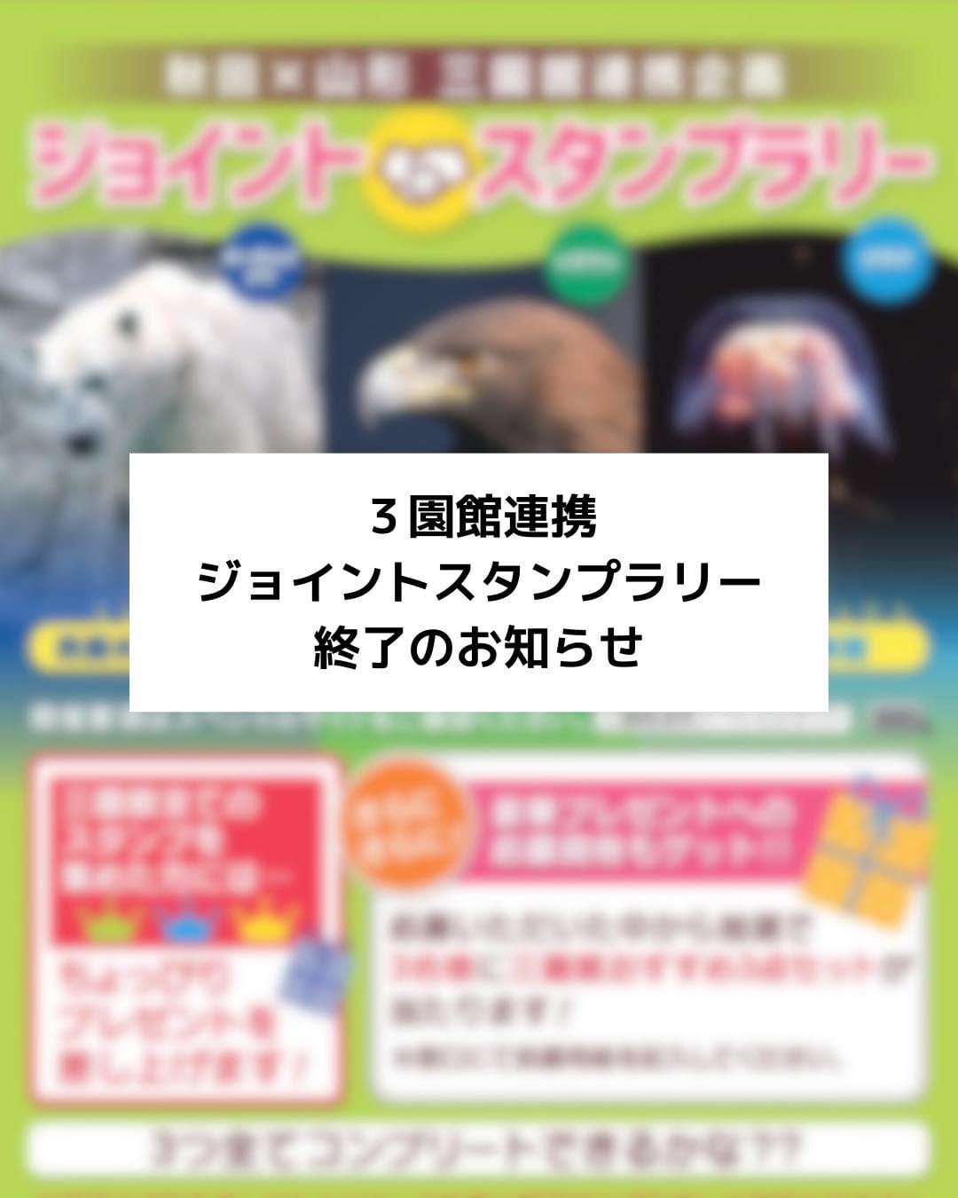 Post 10 by 男鹿水族館GAO on Instagram (image)