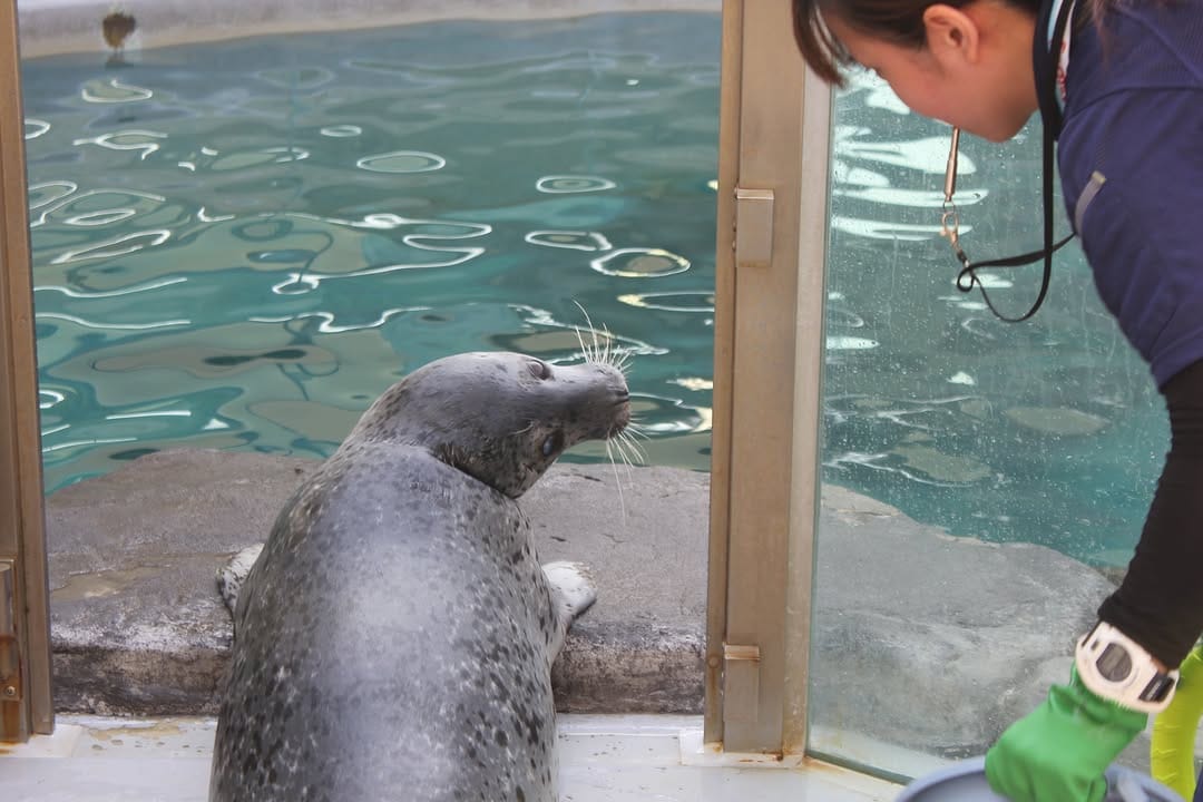 Post 5 by 男鹿水族館GAO on Instagram (carousel)