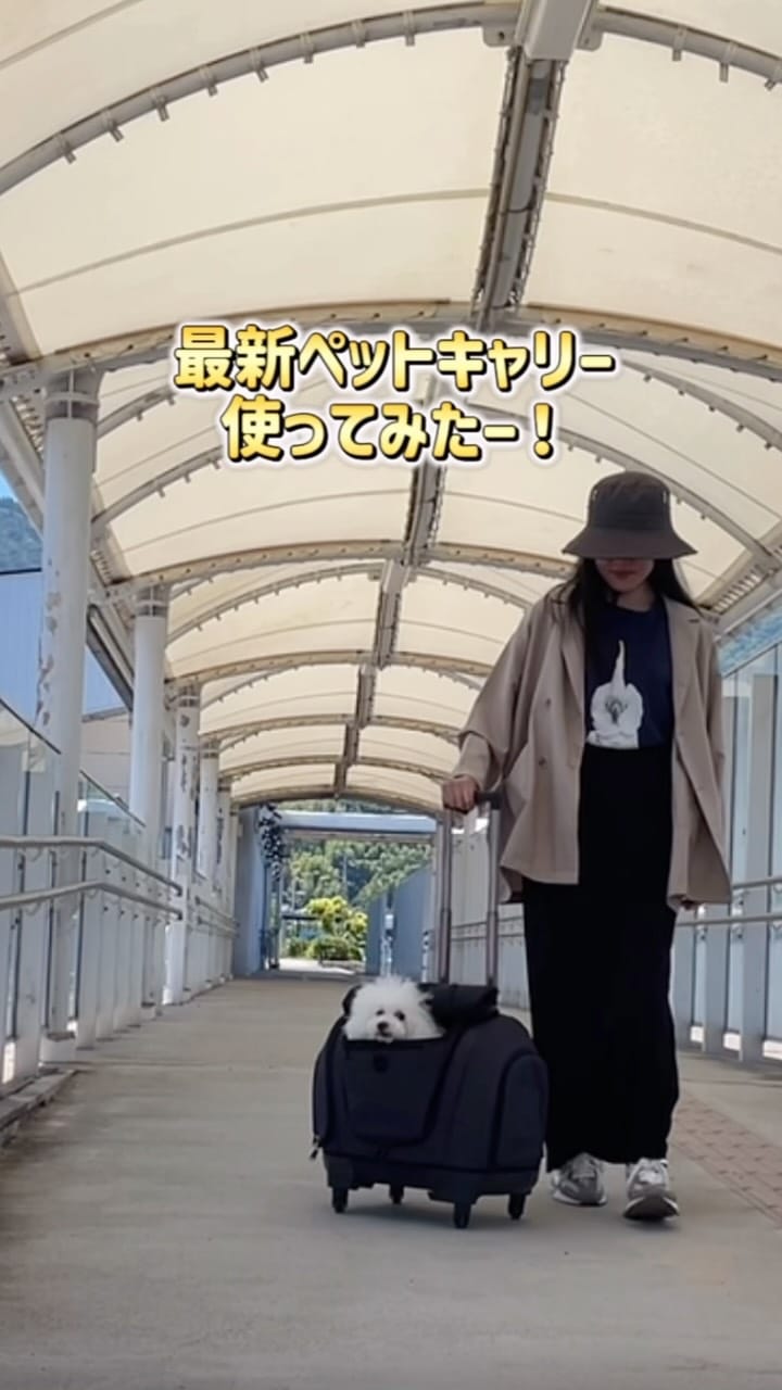 Post 2 by ダンシングオウムと監視犬 on Instagram (video)