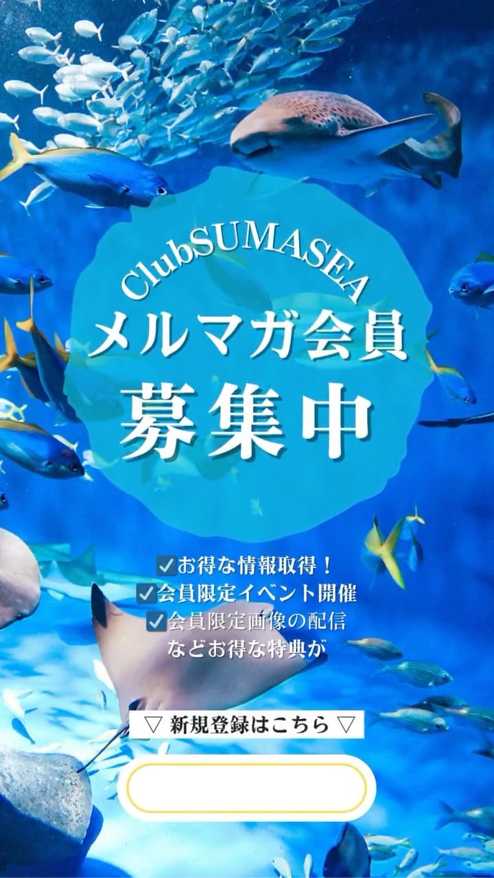 Post 10 by 神戸須磨シーワールド on Instagram (video)