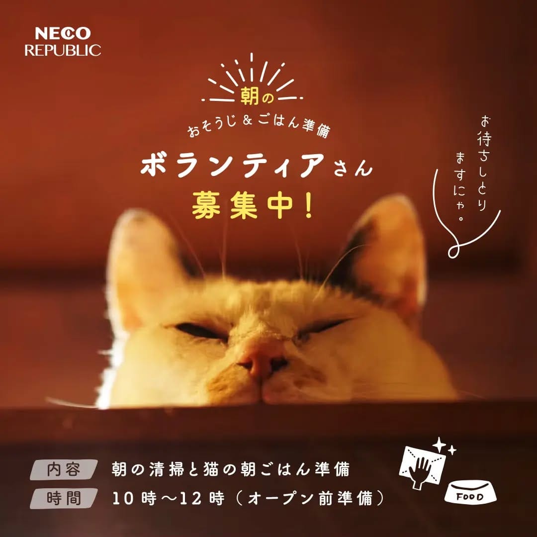 Post 10 by ねこ浴場 ネコリパブリック大阪|保護猫カフェ on Instagram (image)