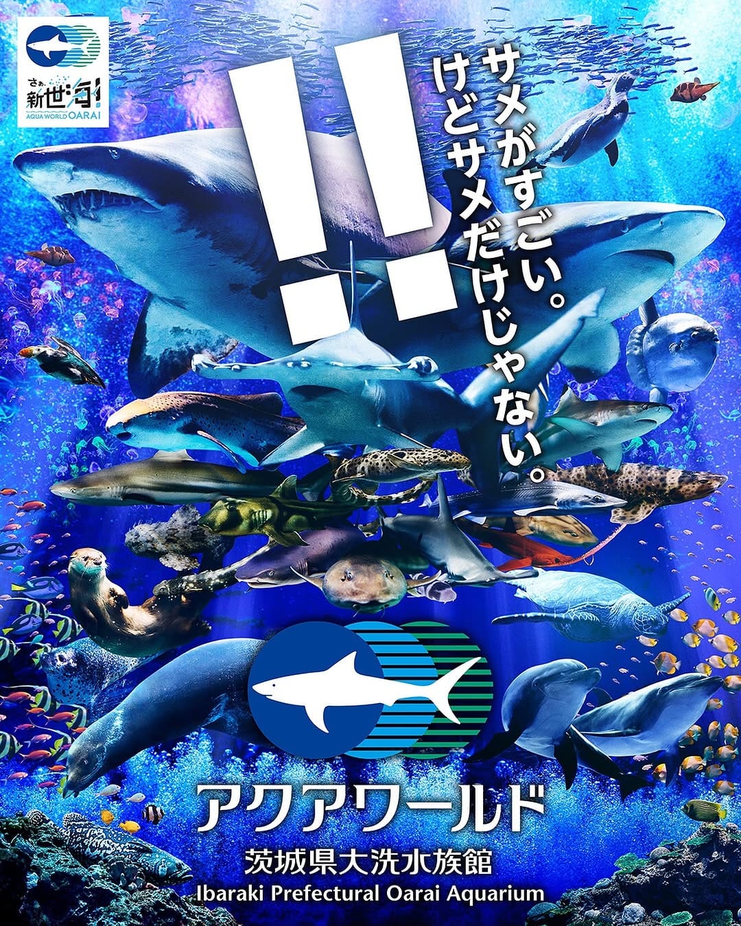 Post 10 by アクアワールド茨城県大洗水族館 on Instagram (image)