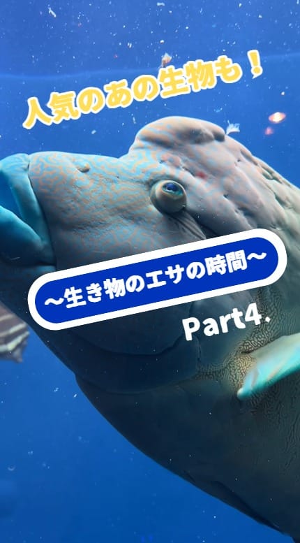 Post 1 by 【公式】アクアマリンふくしま/福島県の水族館 on Instagram (video)