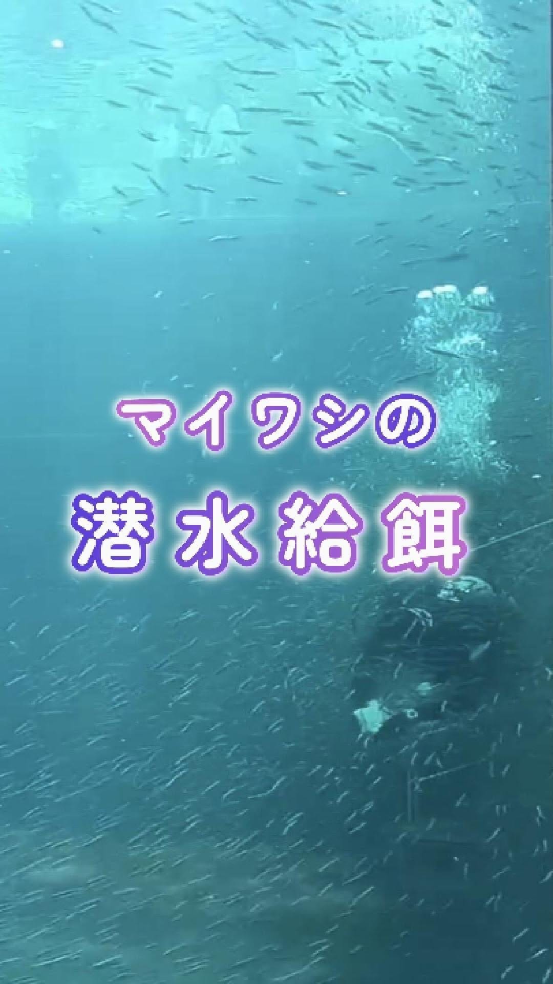 Post 7 by 【公式】アクアマリンふくしま/福島県の水族館 on Instagram (video)
