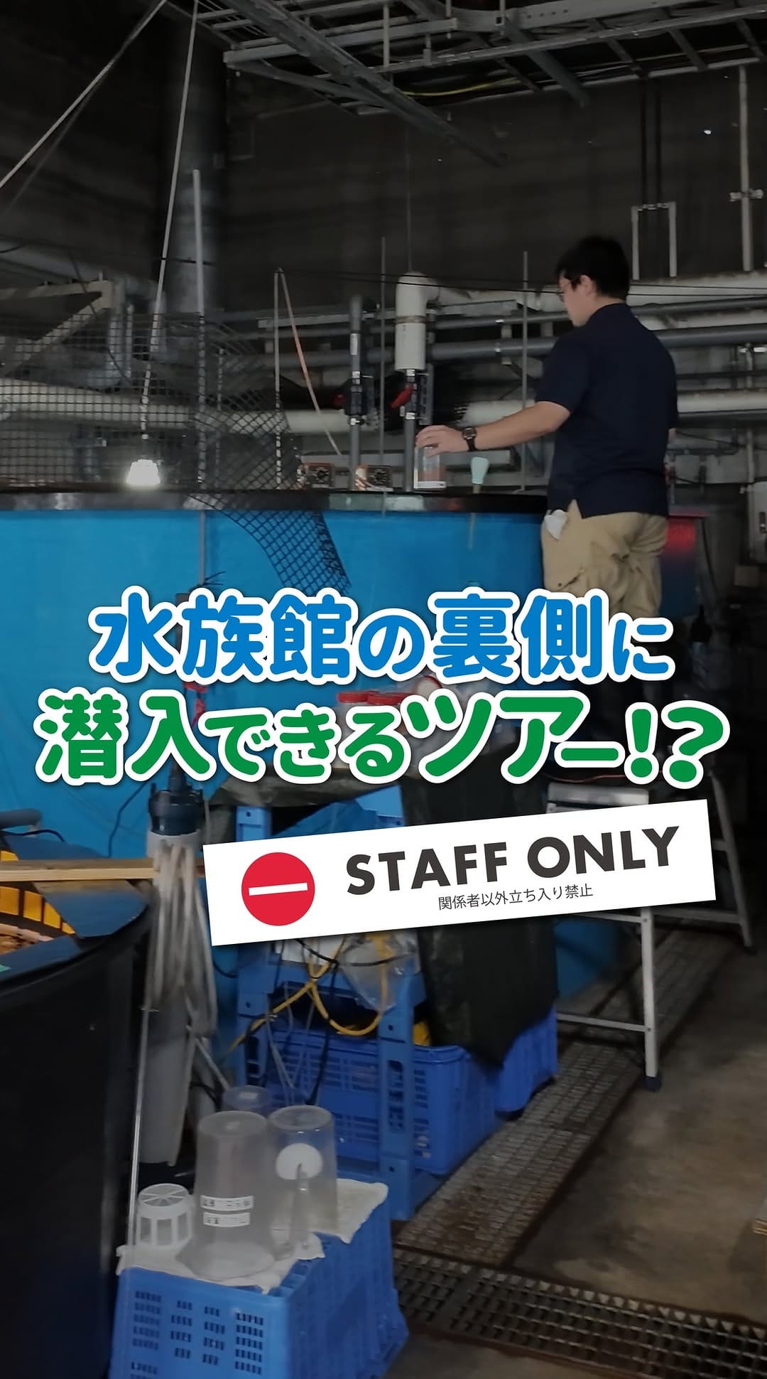 Post 4 by 【公式】アクアマリンふくしま/福島県の水族館 on Instagram (video)