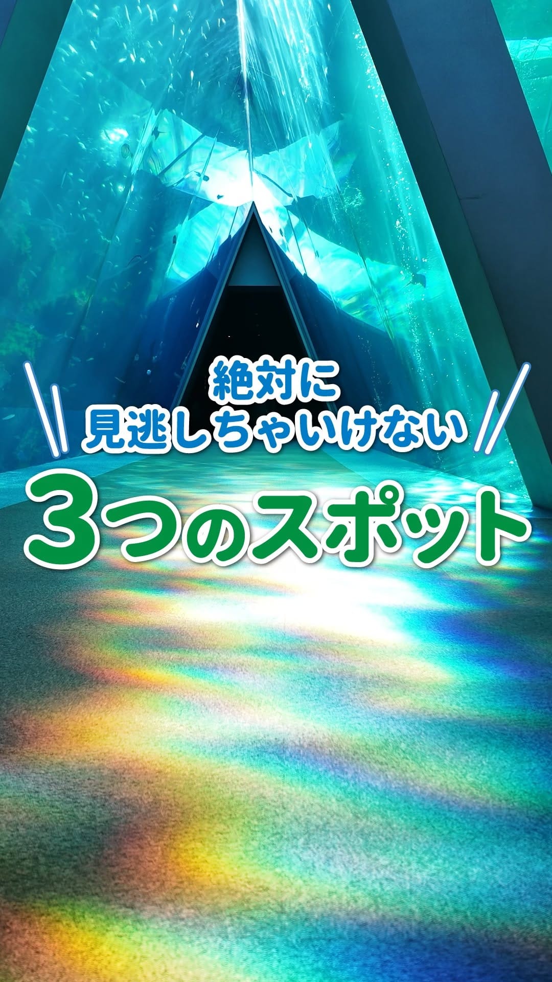 Post 6 by 【公式】アクアマリンふくしま/福島県の水族館 on Instagram (video)