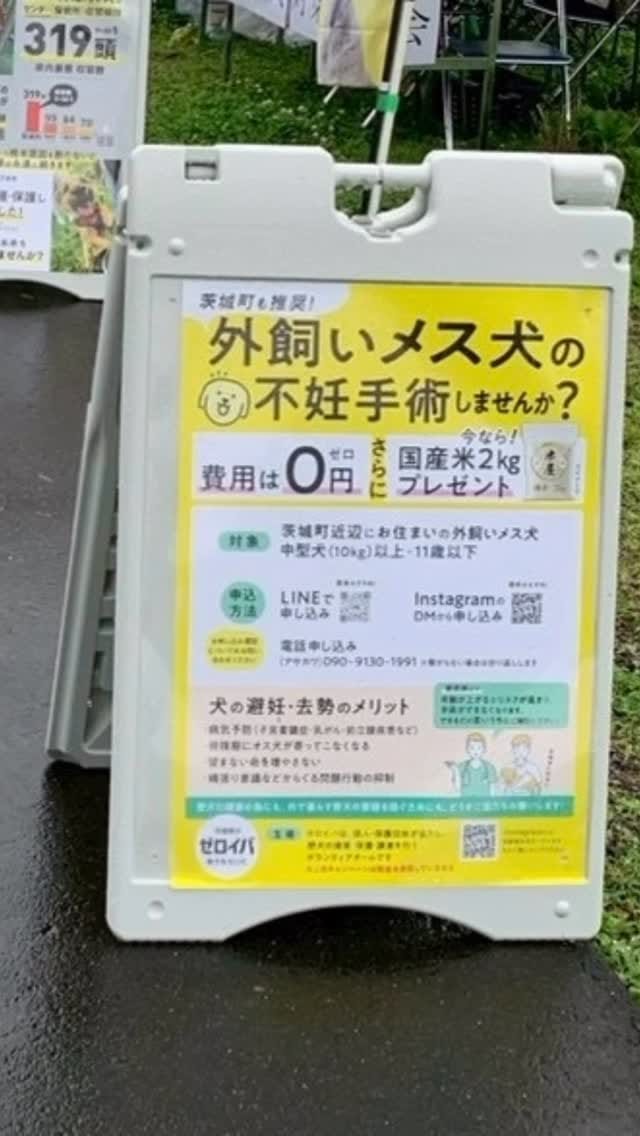 Post 2 by ゼロイバ【茨城の野犬をゼロに】 on Instagram (video)