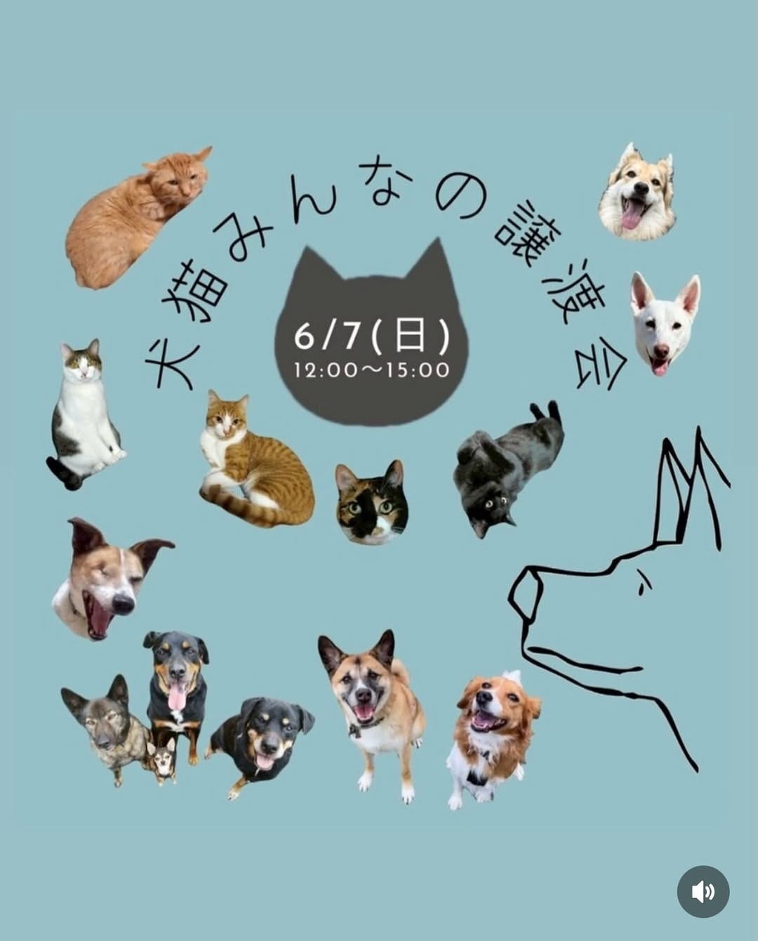 Post 8 by ゼロイバ【茨城の野犬をゼロに】 on Instagram (carousel)