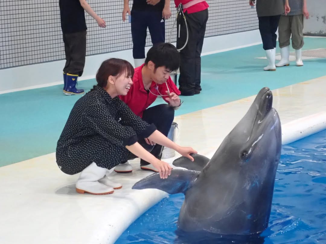 Post 1 by いおワールドかごしま水族館【公式】 on Instagram (carousel)