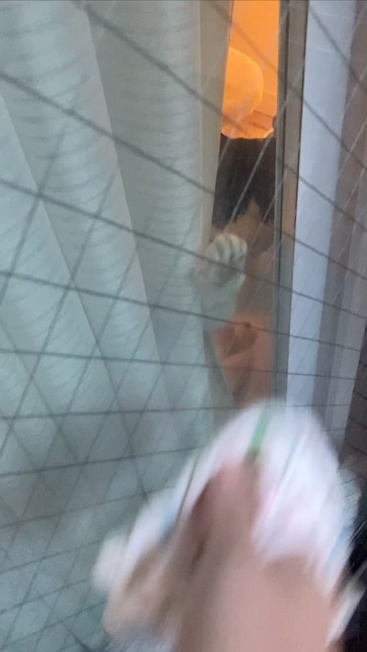 Post 10 by ハチワレ信玄 on Instagram (video)