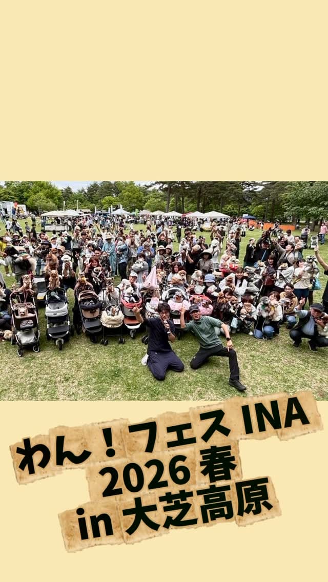Post 6 by いちごぱんこ🍓🍞ねこ好きさんいらっしゃい on Instagram (video)