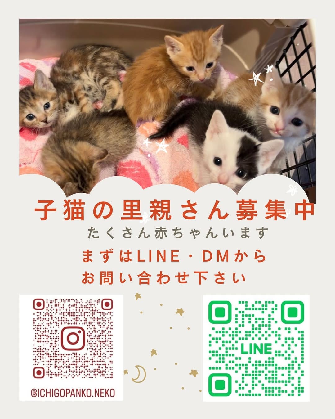Post 5 by いちごぱんこ🍓🍞ねこ好きさんいらっしゃい on Instagram (image)