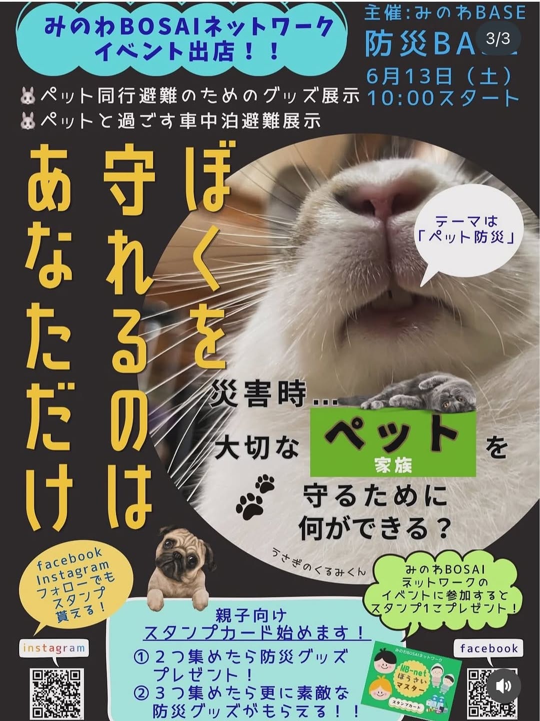 Post 3 by いちごぱんこ🍓🍞ねこ好きさんいらっしゃい on Instagram (carousel)