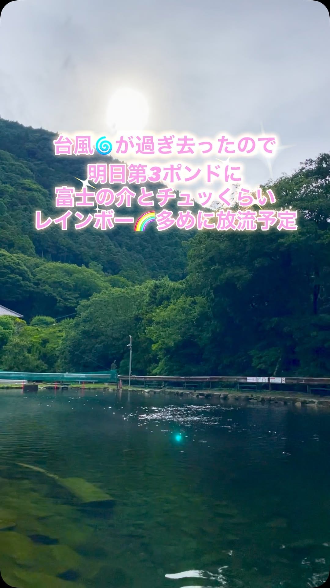 Post 5 by フィッシングサンクチュアリ(公式) on Instagram (video)