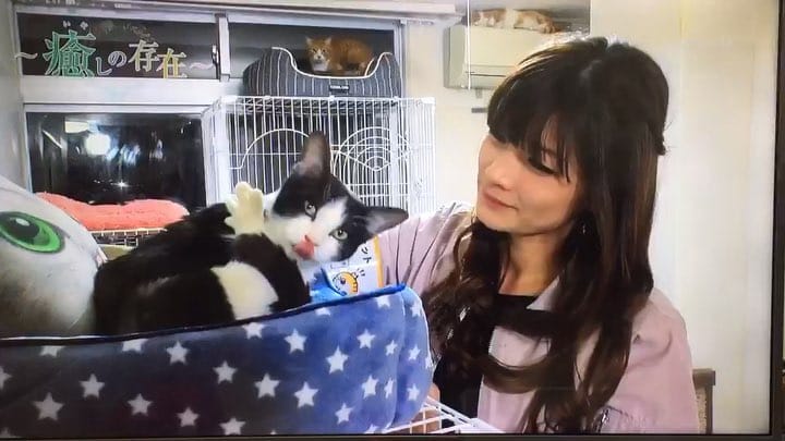 Post 10 by ねころび on Instagram (carousel)