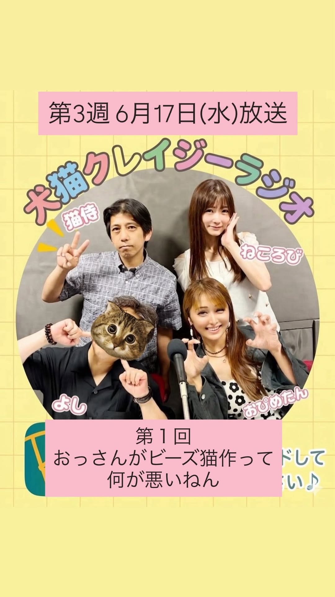 Post 4 by ねころび on Instagram (video)