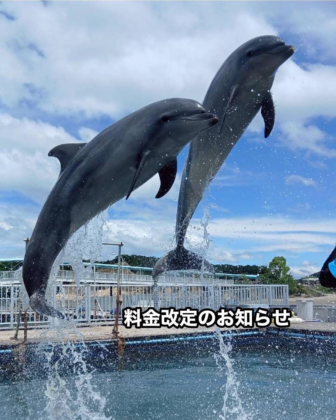 Post 9 by シードーナツ on Instagram (image)