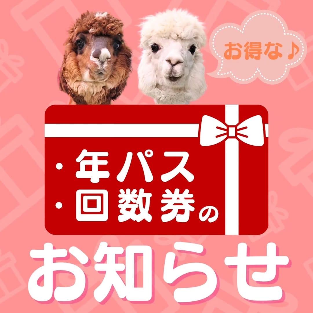 Post 10 by アルパカふれあいランド(Alpaca fureai land) on Instagram (image)