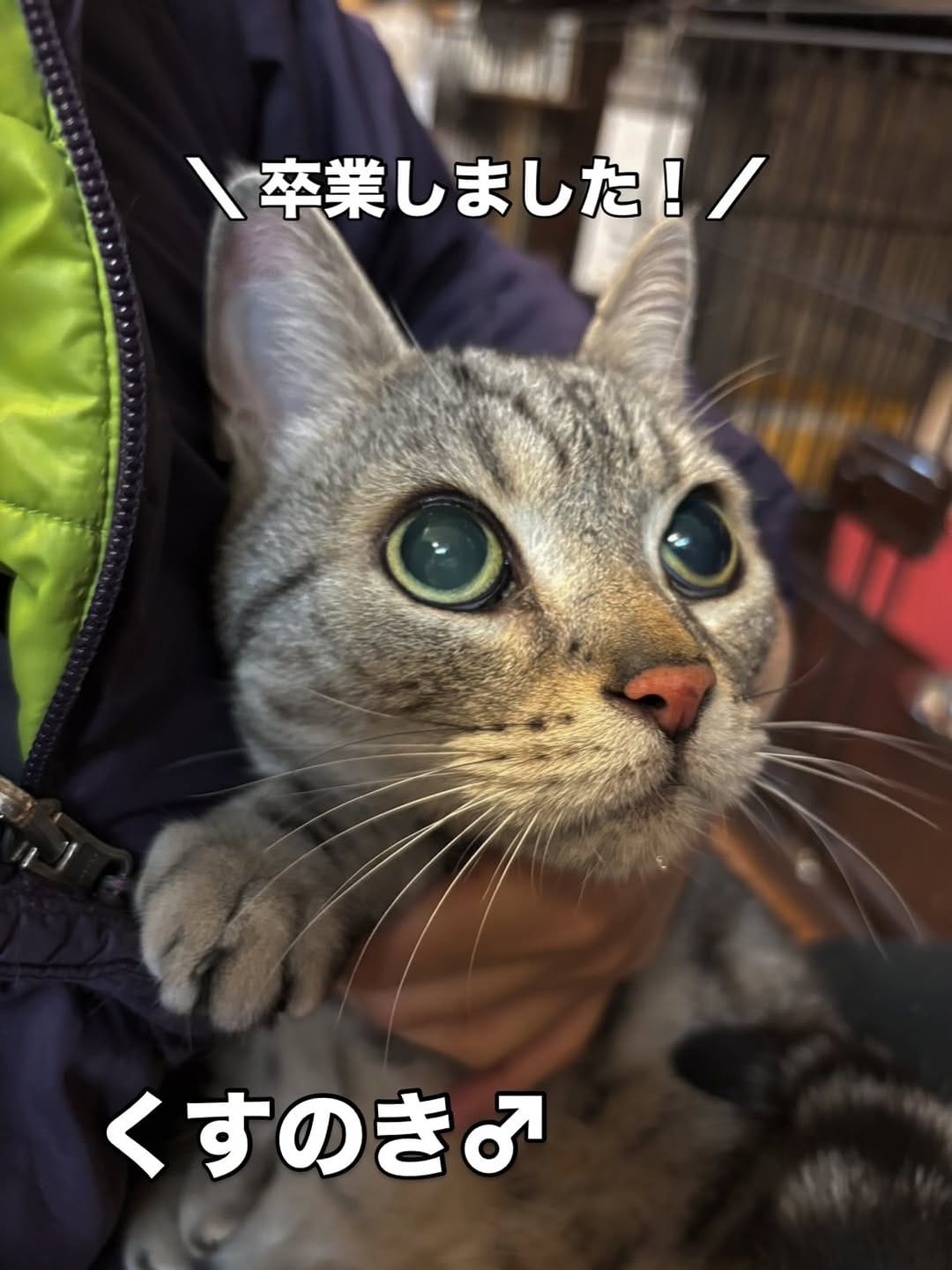 Post 5 by 保護犬猫情報発信センター ラフスペース on Instagram (carousel)