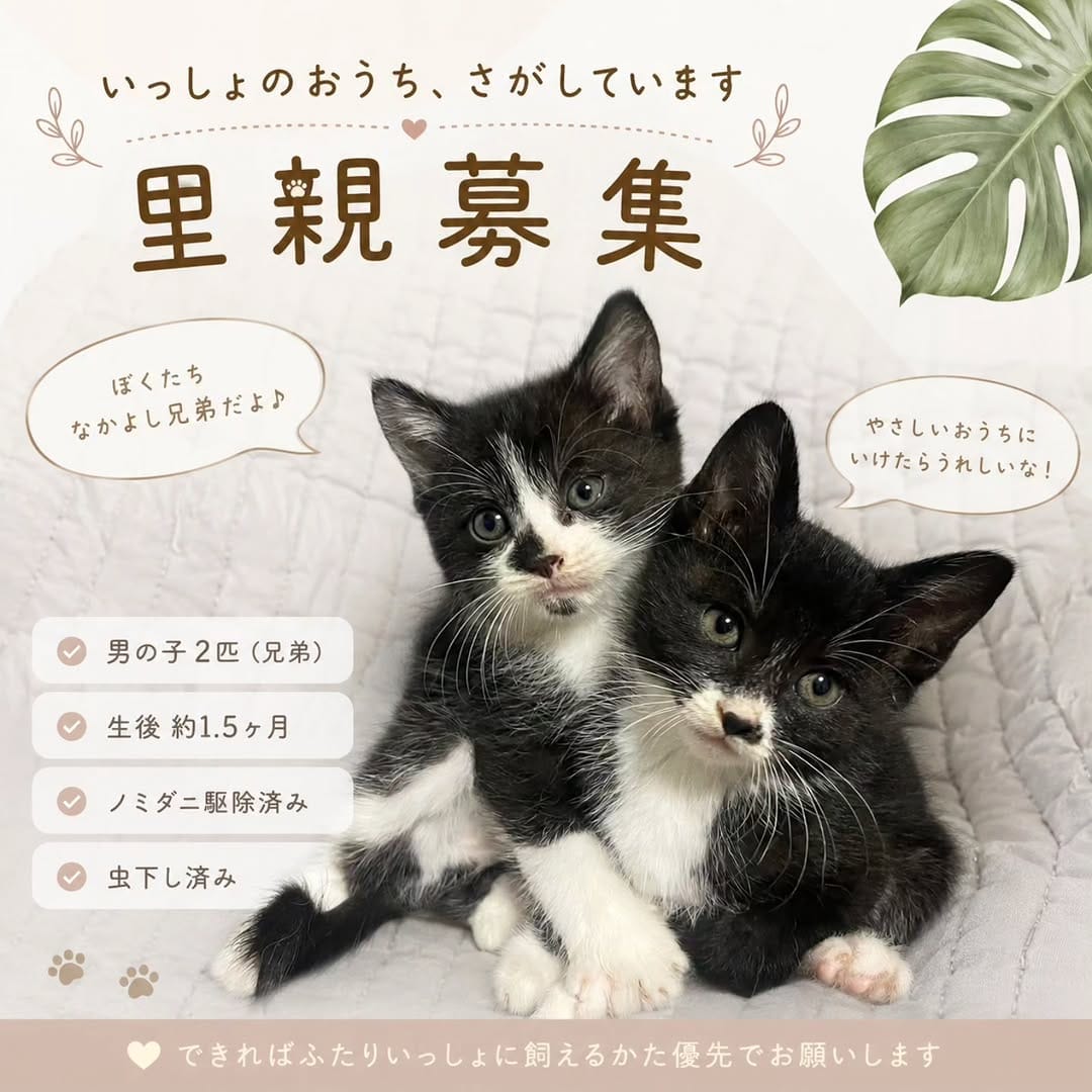Post 3 by どうぶつ❤️ときどき癒やし on Instagram (carousel)