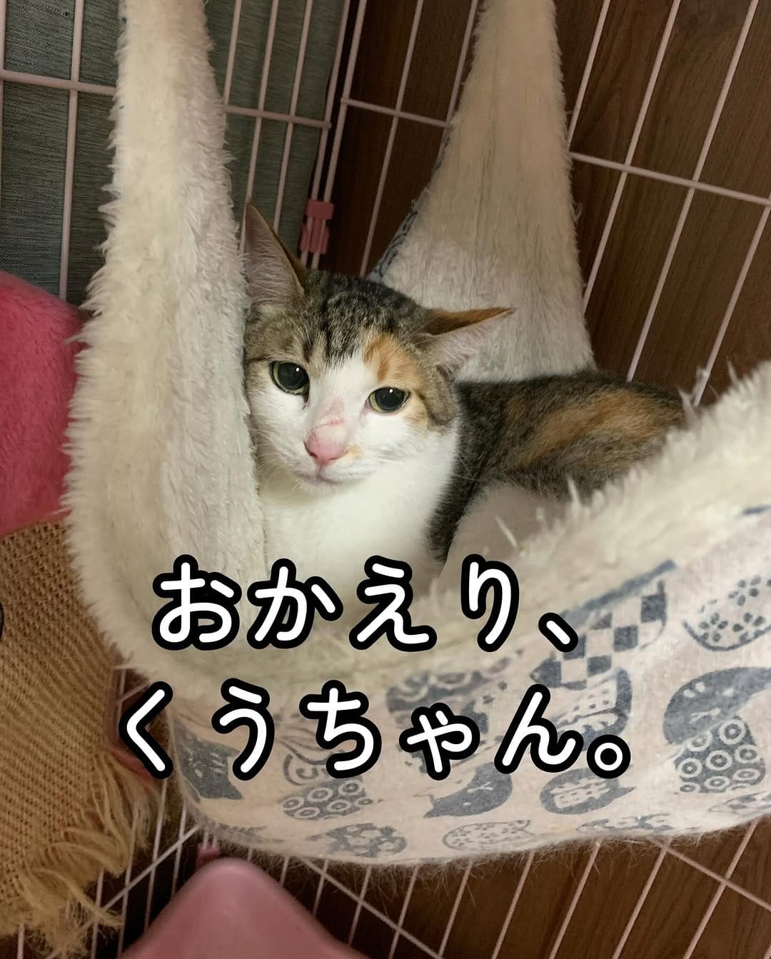 Post 2 by yukako on Instagram (carousel)