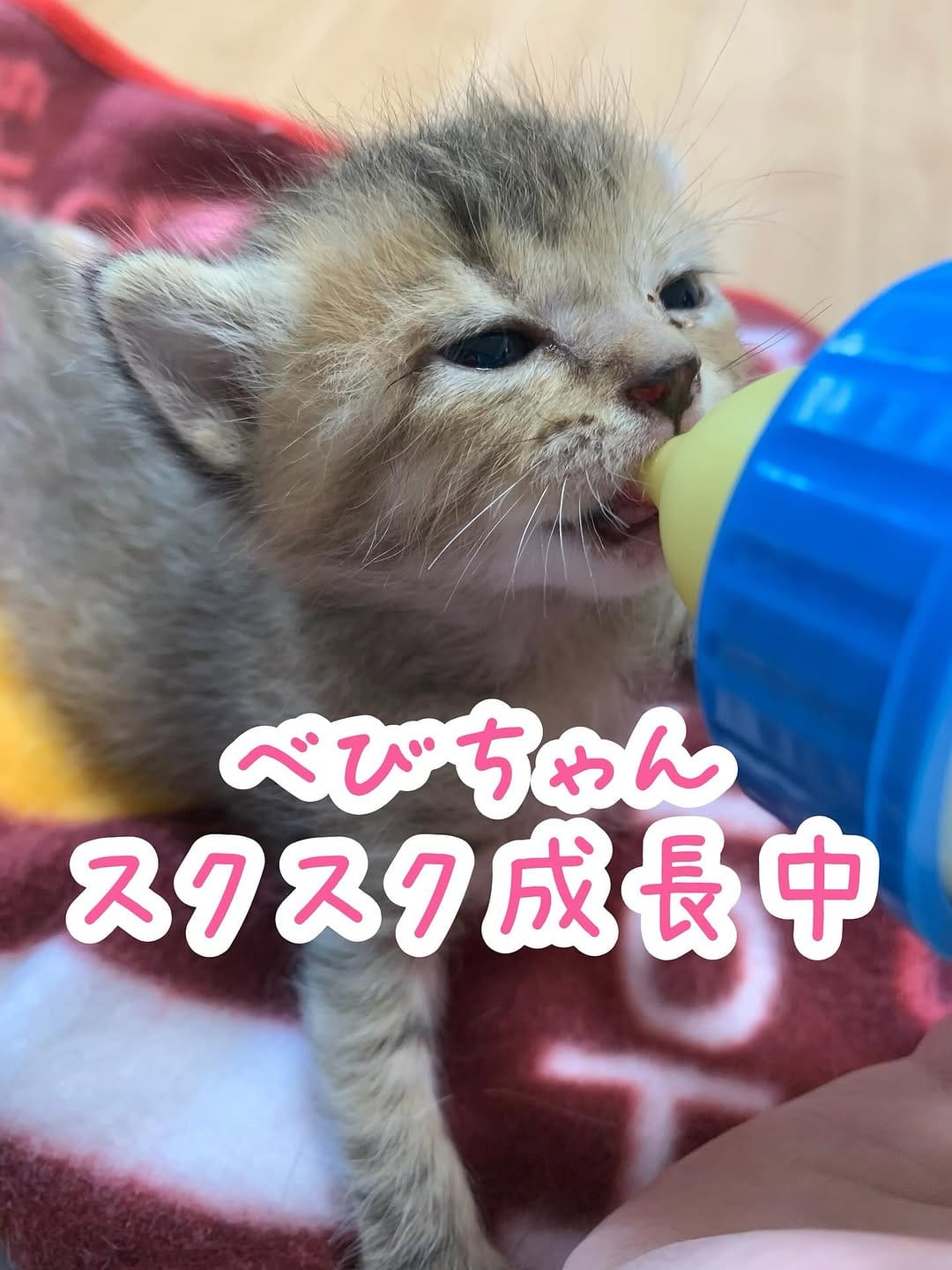 Post 6 by yukako on Instagram (carousel)