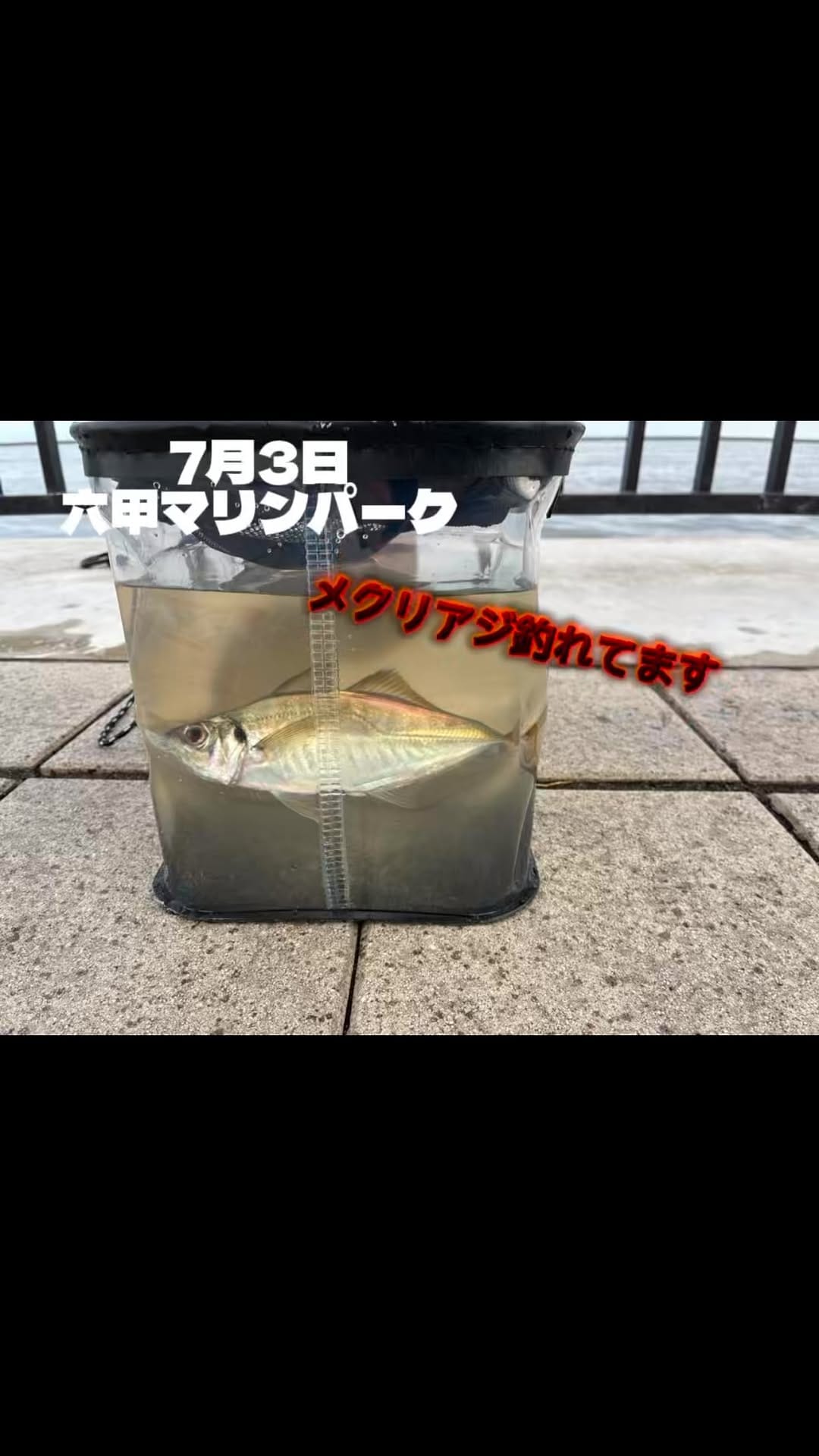 Post 7 by 六甲マリンパーク on Instagram (video)