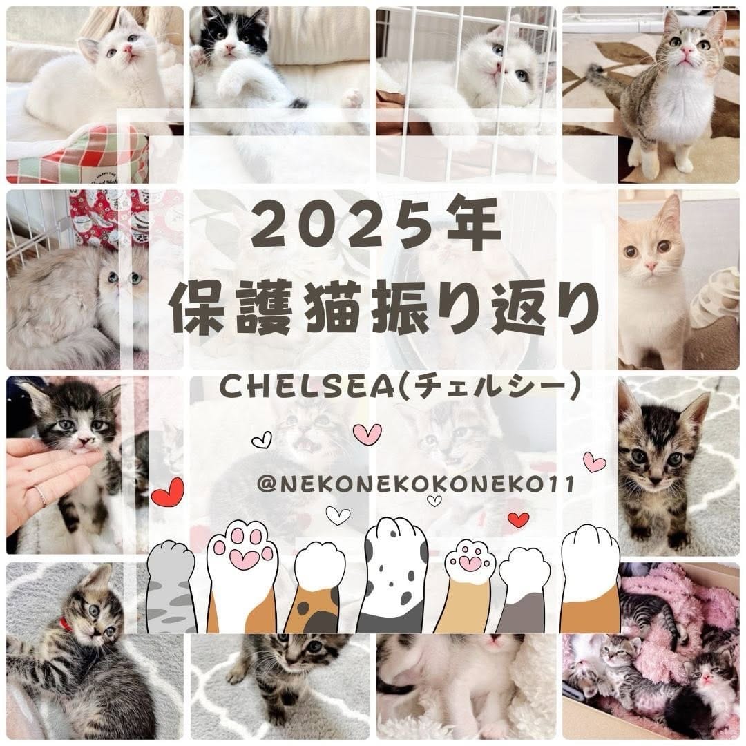 Post 9 by Chelsea(チェルシー) on Instagram (carousel)