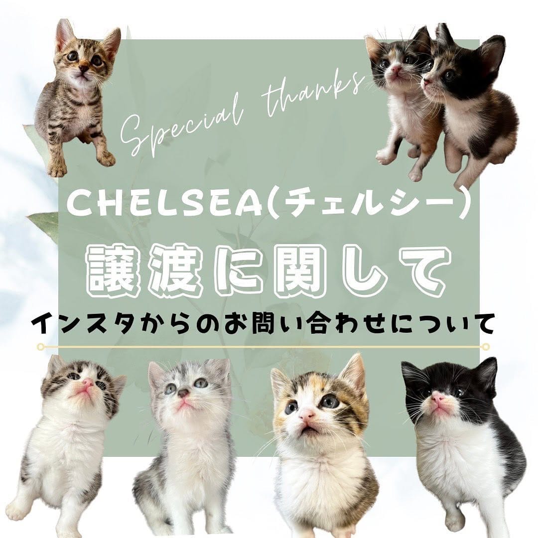 Post 10 by Chelsea(チェルシー) on Instagram (image)
