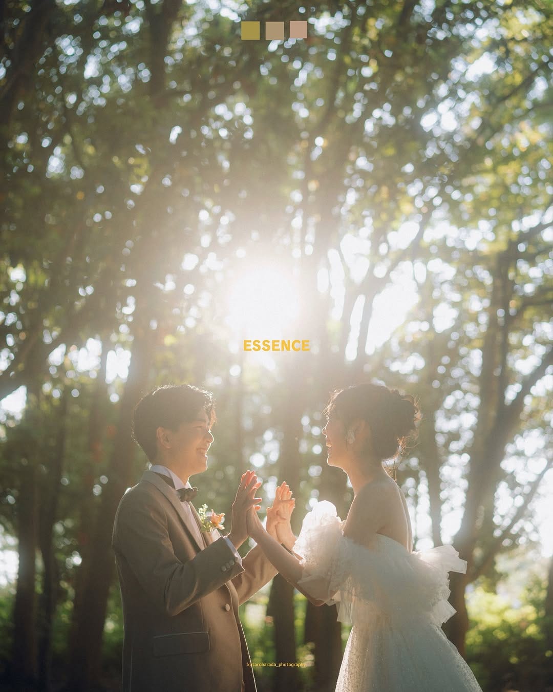 Post 6 by 原田航太朗｜前撮りフォトグラファー 名古屋・東京・大阪｜結婚式前撮り on Instagram (carousel)