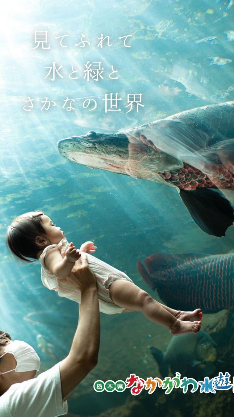 Post 10 by 栃木県なかがわ水遊園【公式】/水族館/公園 on Instagram (video)