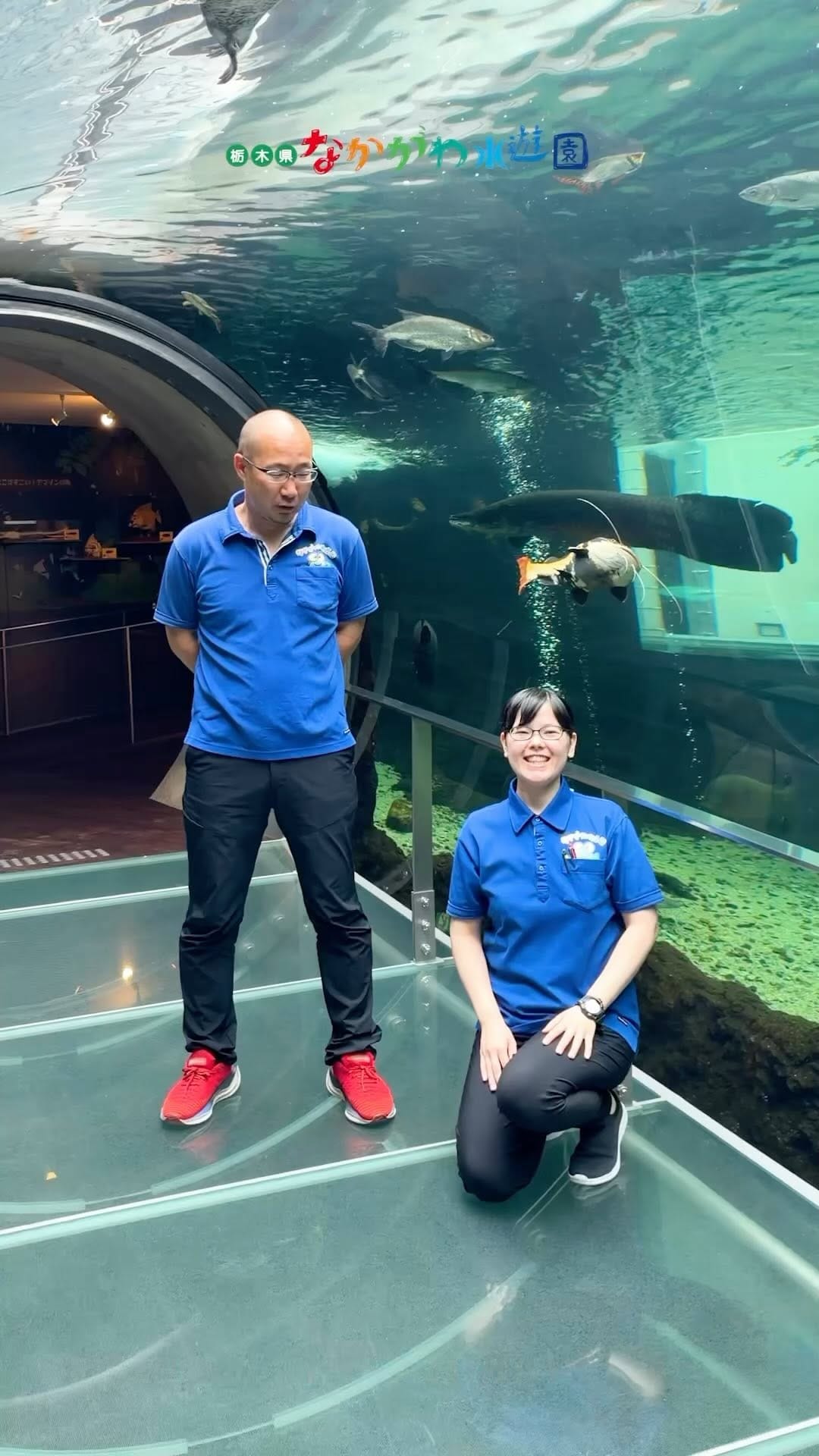 Post 7 by 栃木県なかがわ水遊園【公式】/水族館/公園 on Instagram (video)