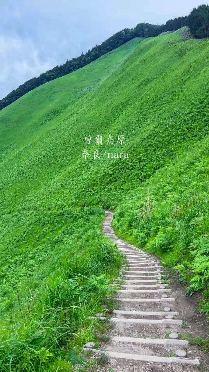 Post 2 by tyata/ちゃた on Instagram (video)