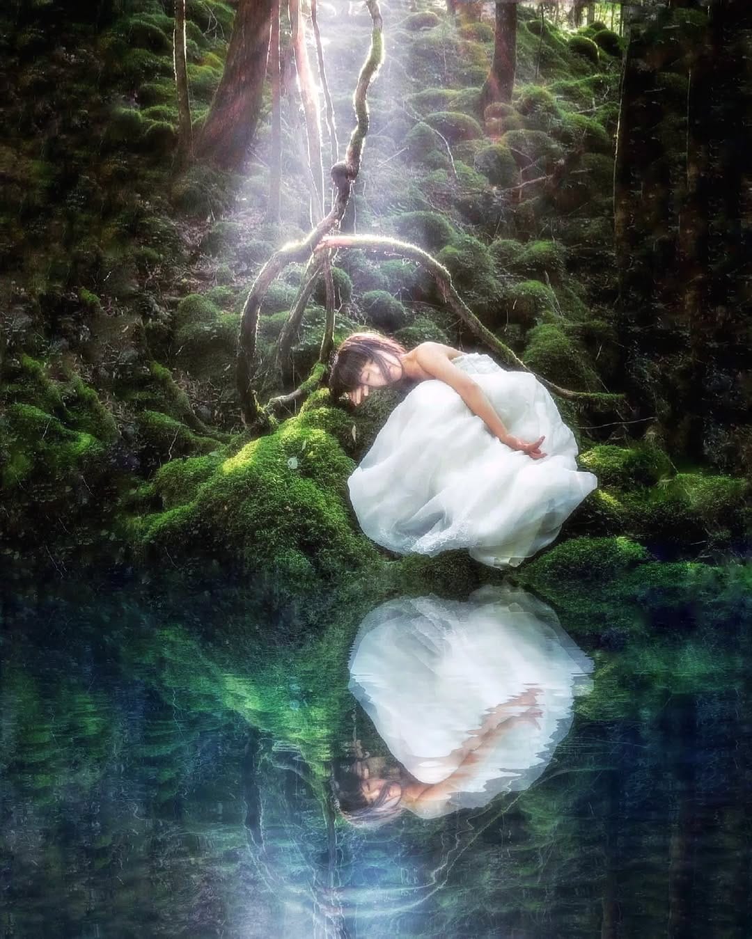 Post 6 by Takashi Fukushima on Instagram (image)