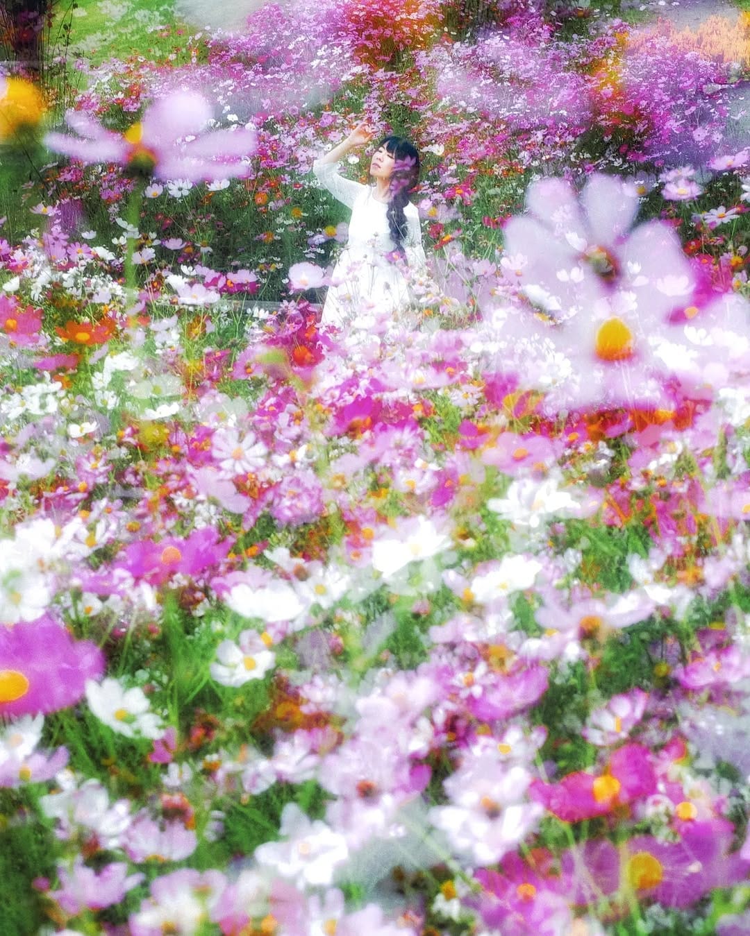 Post 8 by Takashi Fukushima on Instagram (image)