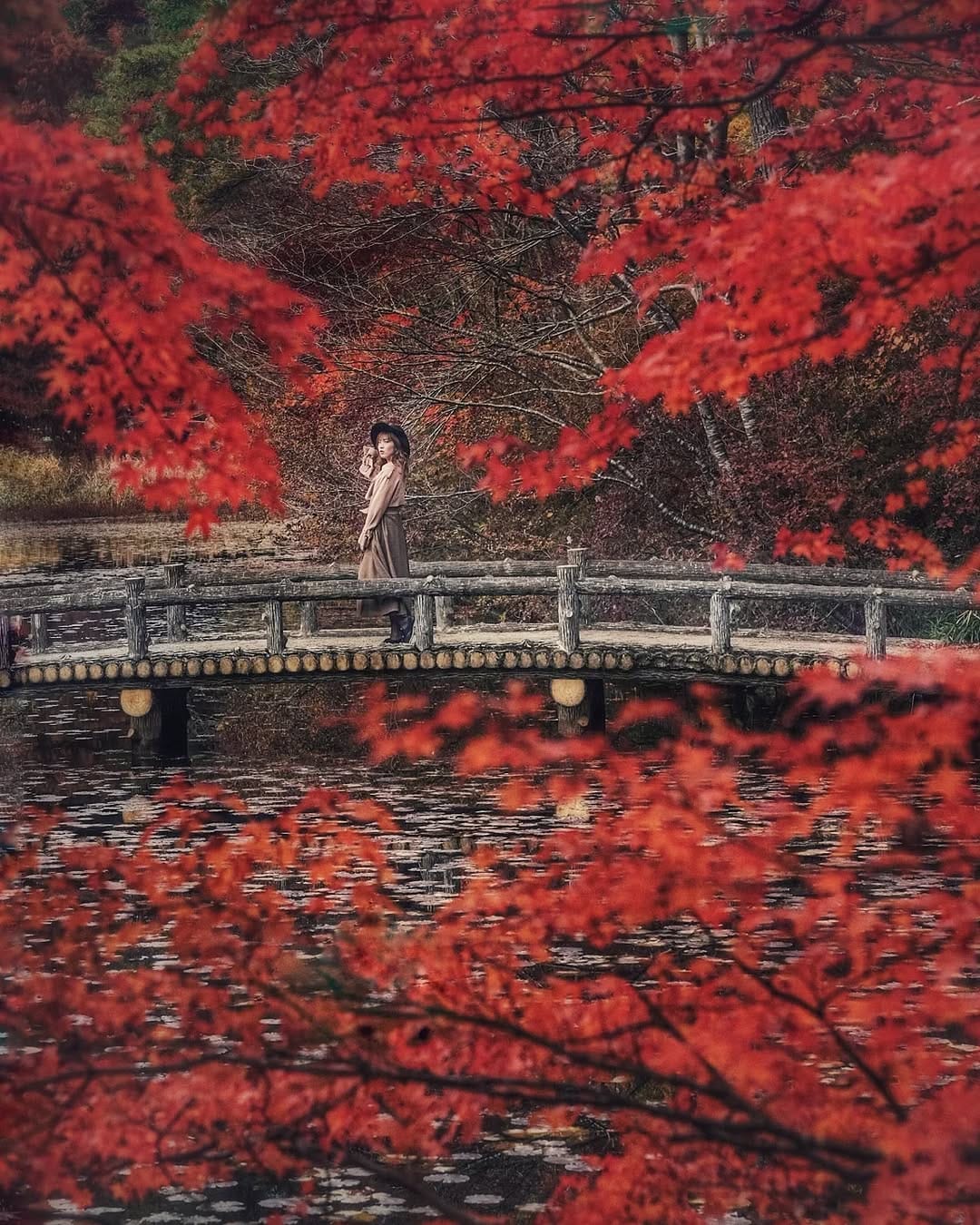 Post 1 by Takashi Fukushima on Instagram (image)