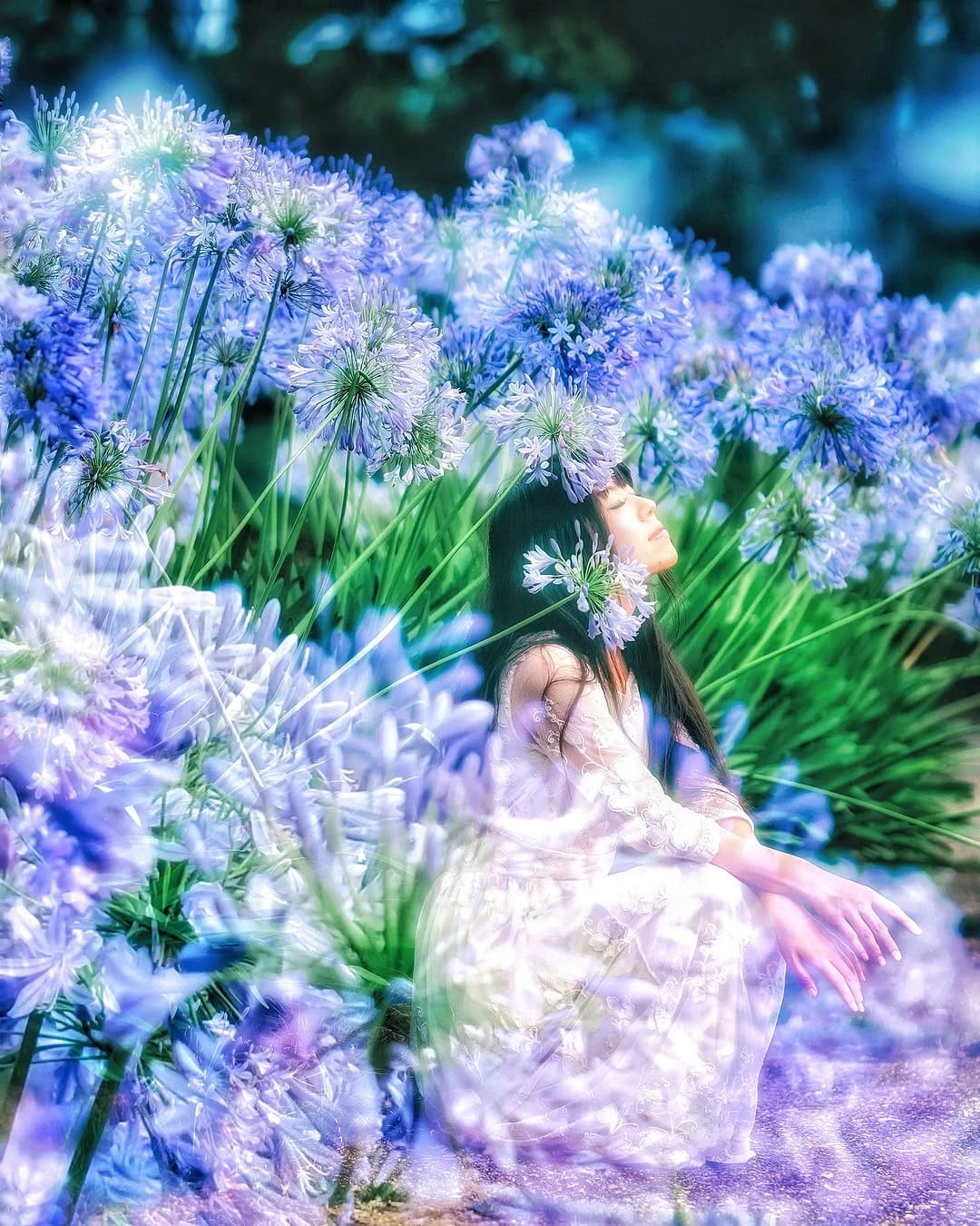Post 2 by Takashi Fukushima on Instagram (image)