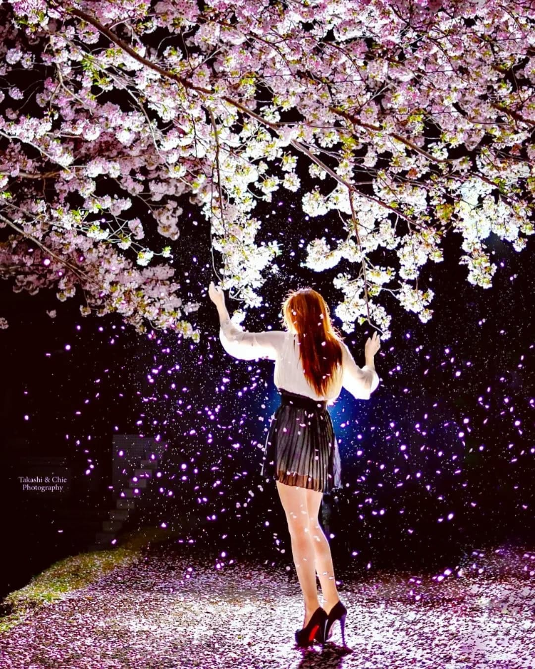 Post 9 by Takashi Fukushima on Instagram (image)