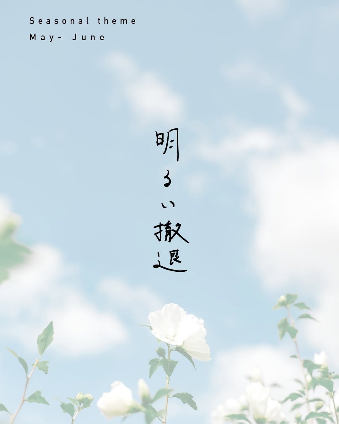 Post 8 by 北海道の編集者 | たま on Instagram (carousel)