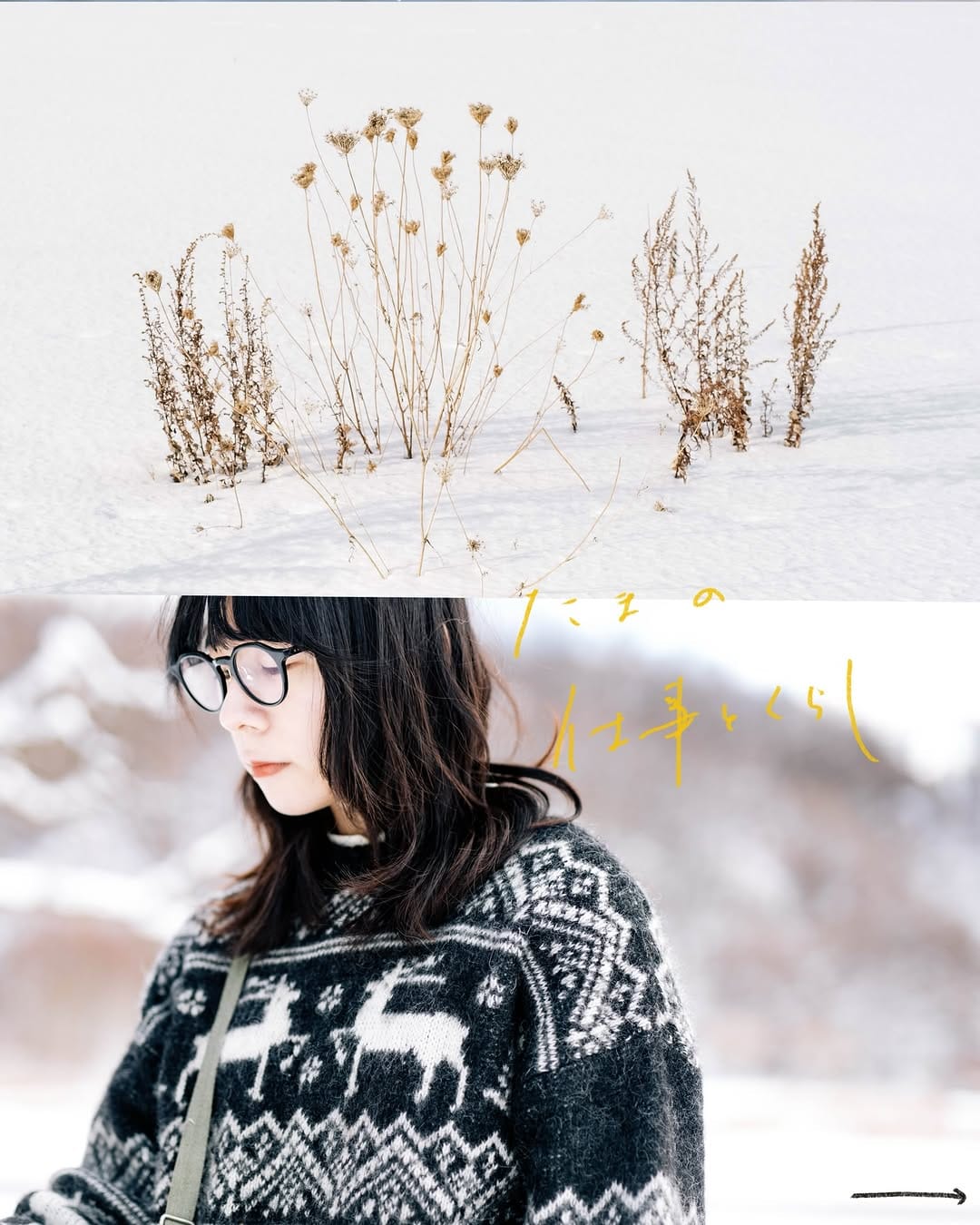 Post 10 by 北海道の編集者 | たま on Instagram (carousel)