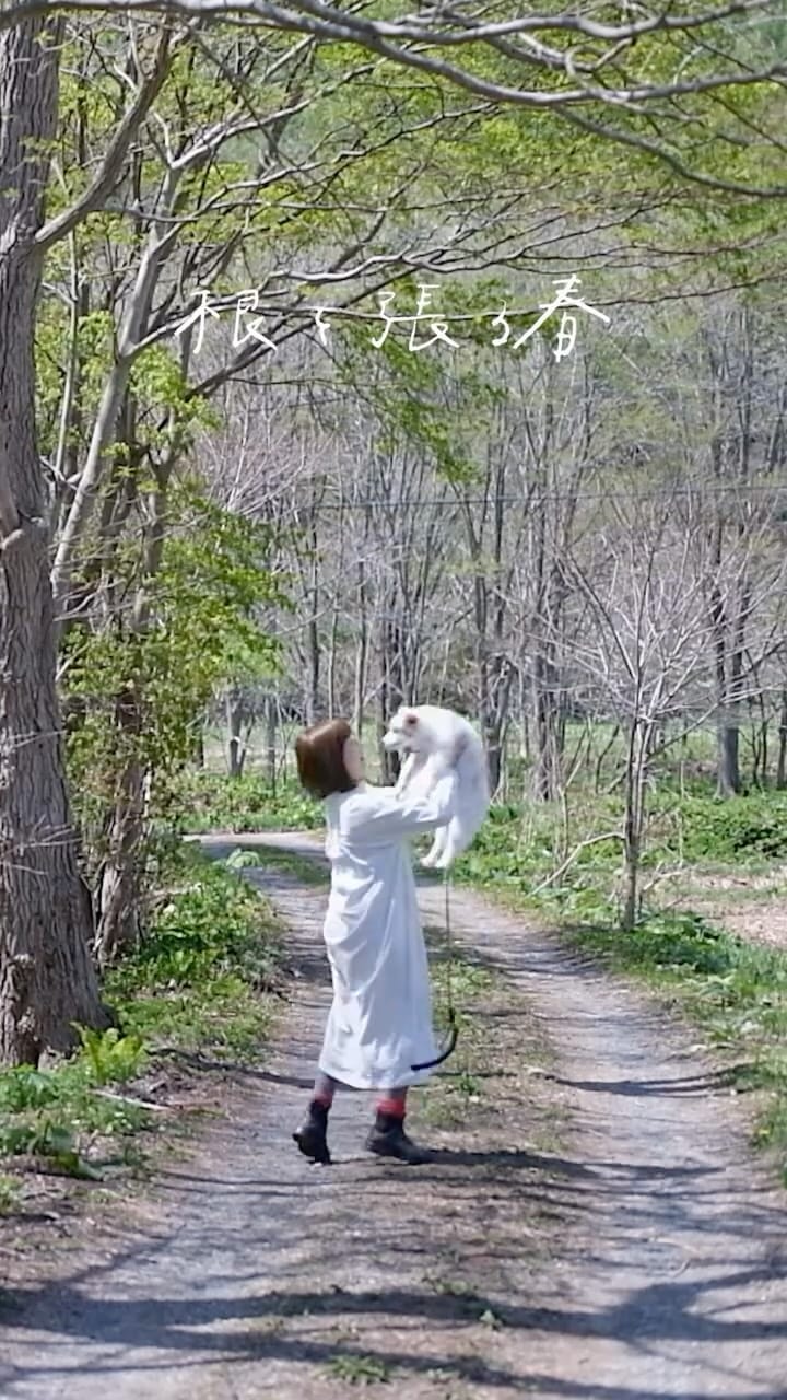 Post 4 by 北海道の編集者 | たま on Instagram (video)
