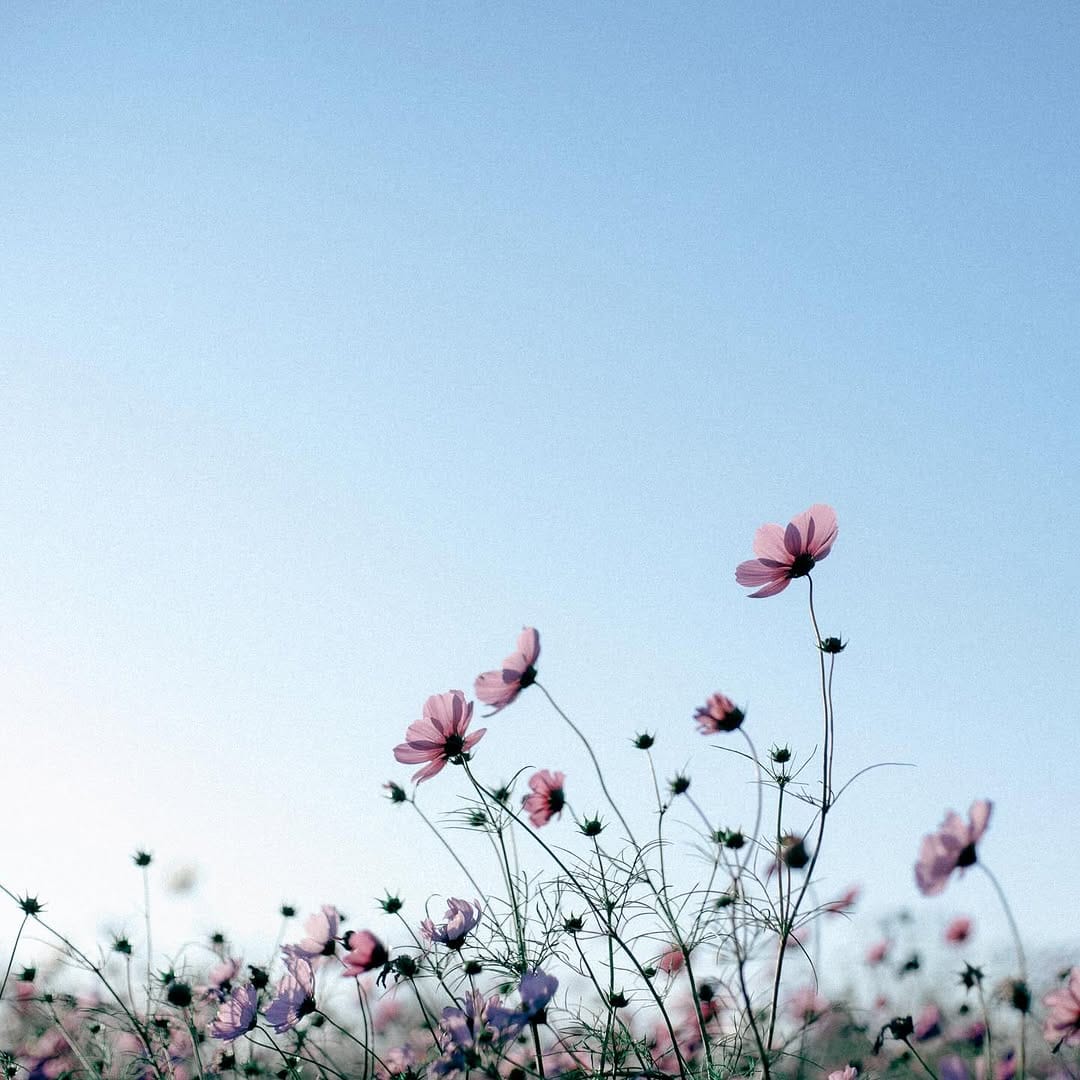 Post 7 by NAVY MOBILE on Instagram (image)