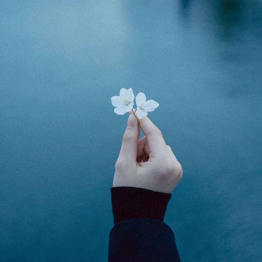 Post 8 by NAVY MOBILE on Instagram (image)