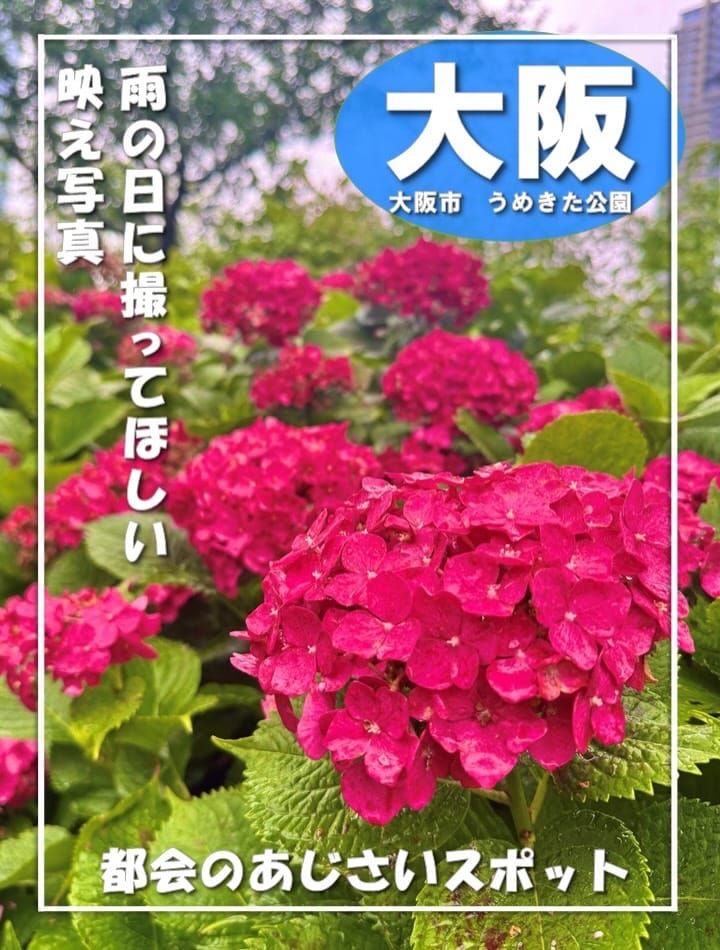 Post 1 by 【大阪府公式】おおさか景観発信プロジェクト on Instagram (carousel)