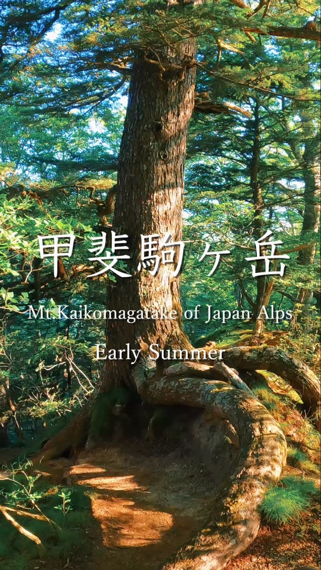 Post 10 by Taka Mountain on Instagram (video)